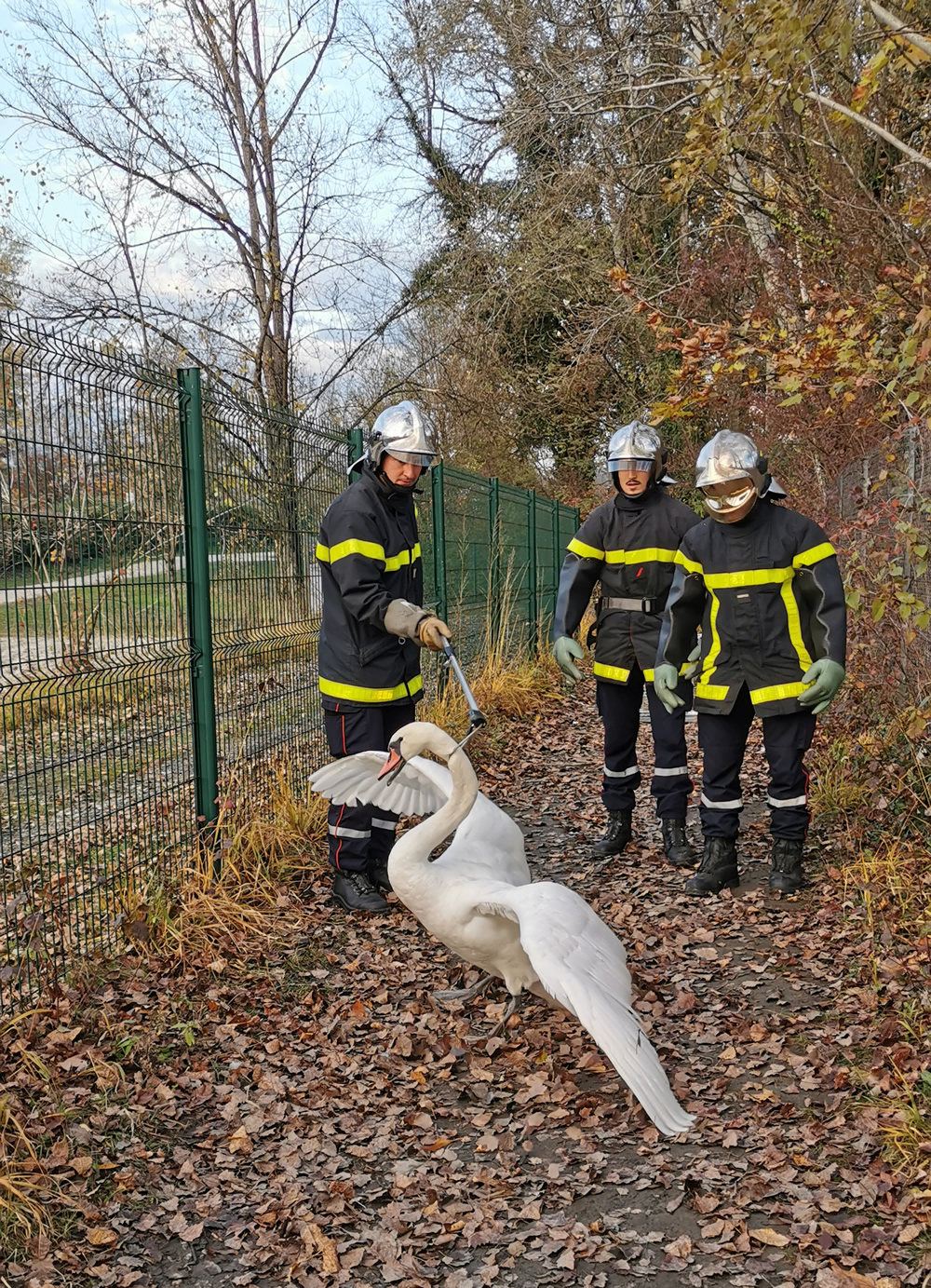 Brigade animalière des pompiers de l'Isère au Bois Français