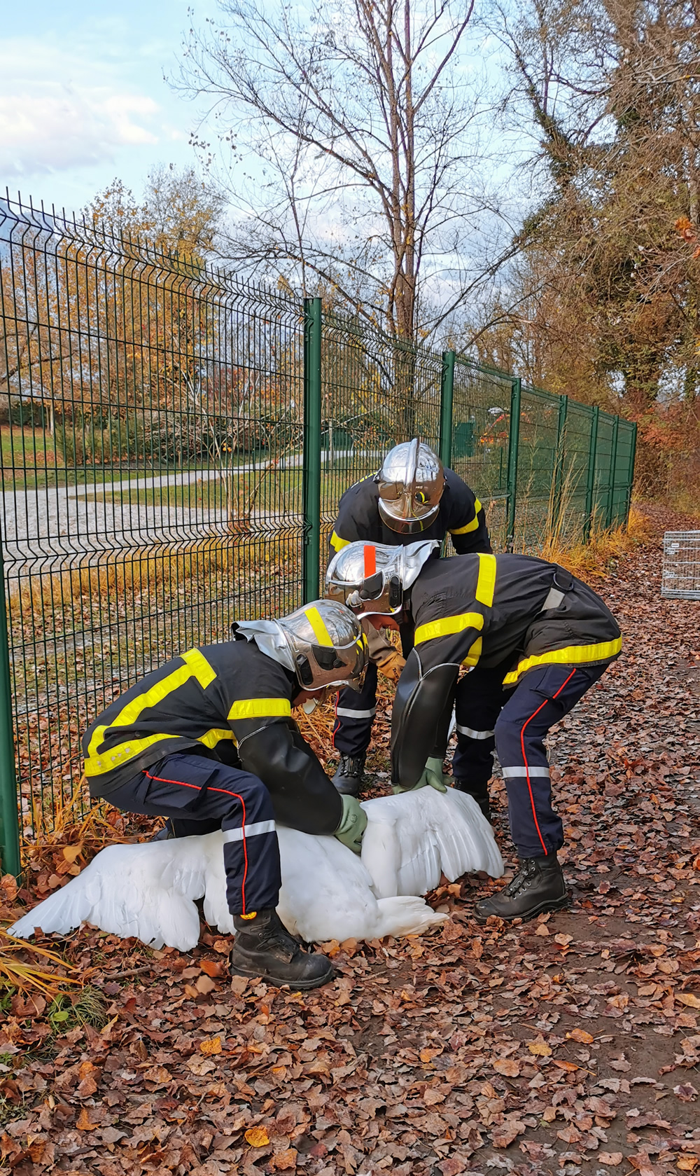 Brigade animalière des pompiers de l'Isère au Bois Français