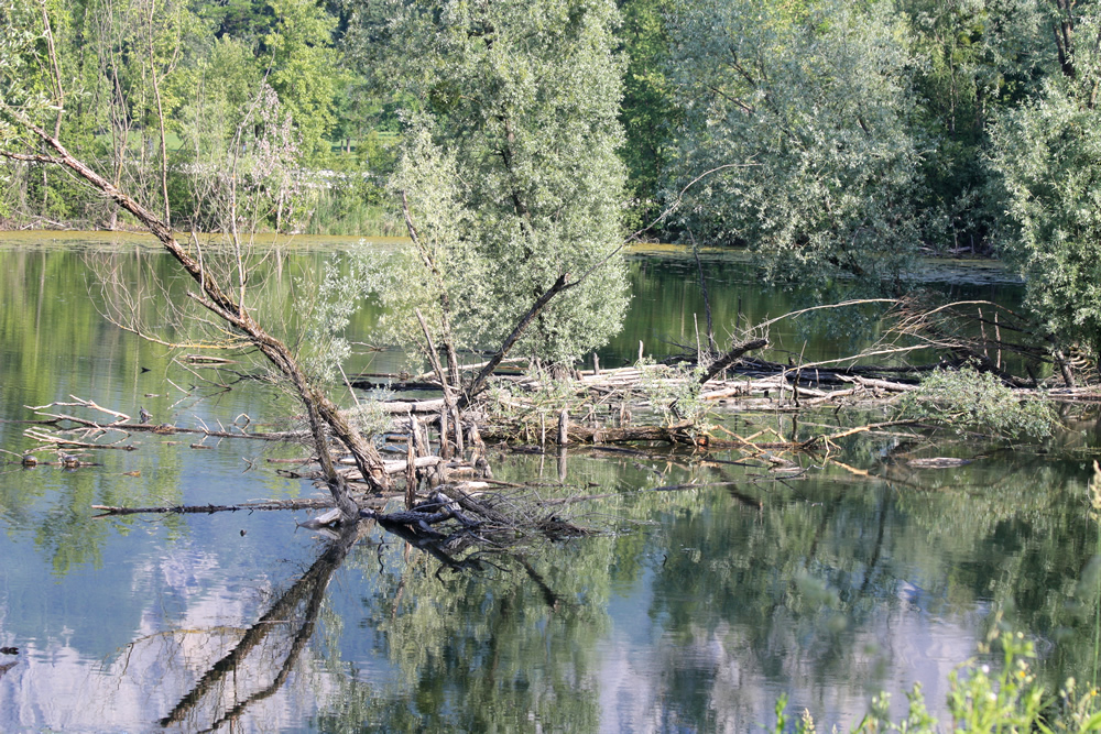 Lac Belledonne au Bois Français