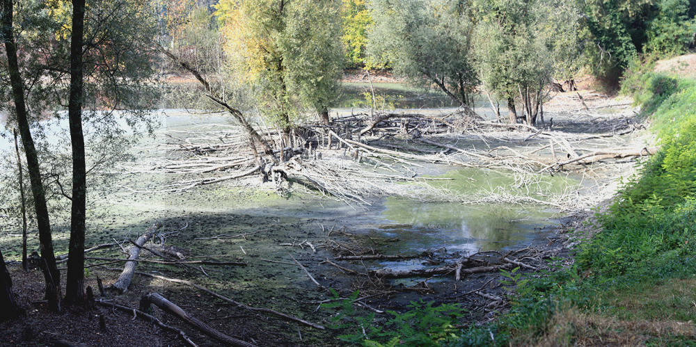 Lac en manque d'eau au  Bois Français